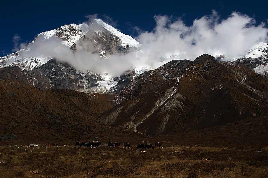 Widok z Lamuney (Goecha La trek)